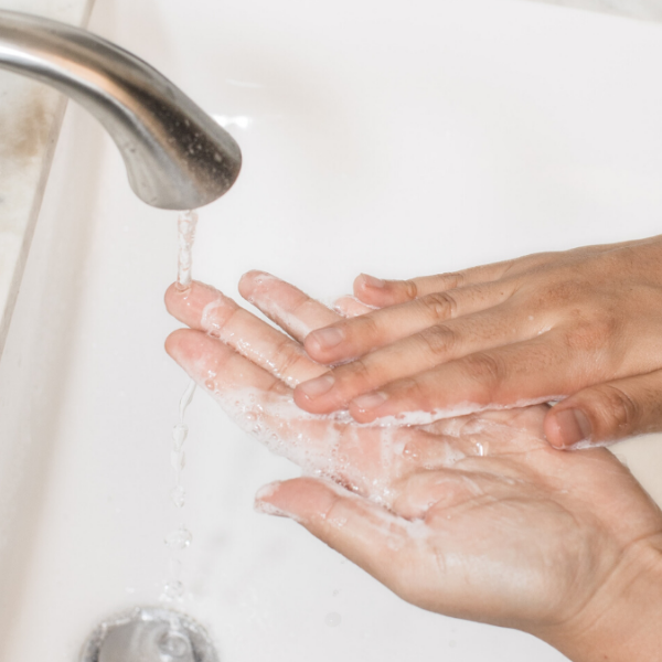 Handwash Article