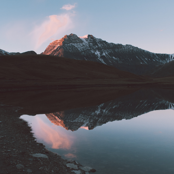 Reflection