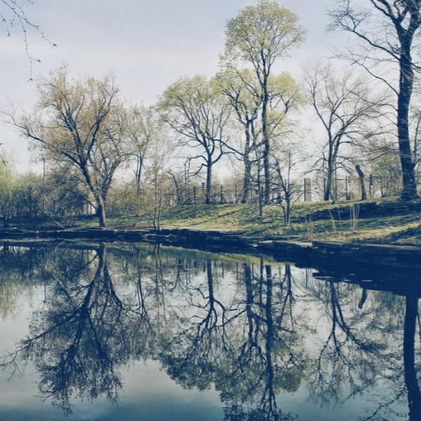 Reflections