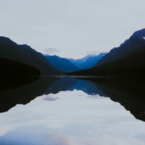 Reflection (1)